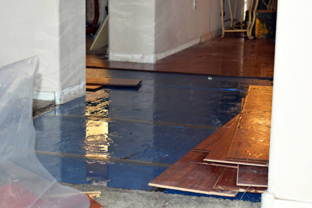 Professional Flood Damage Restoration technician working in Dundee, OR